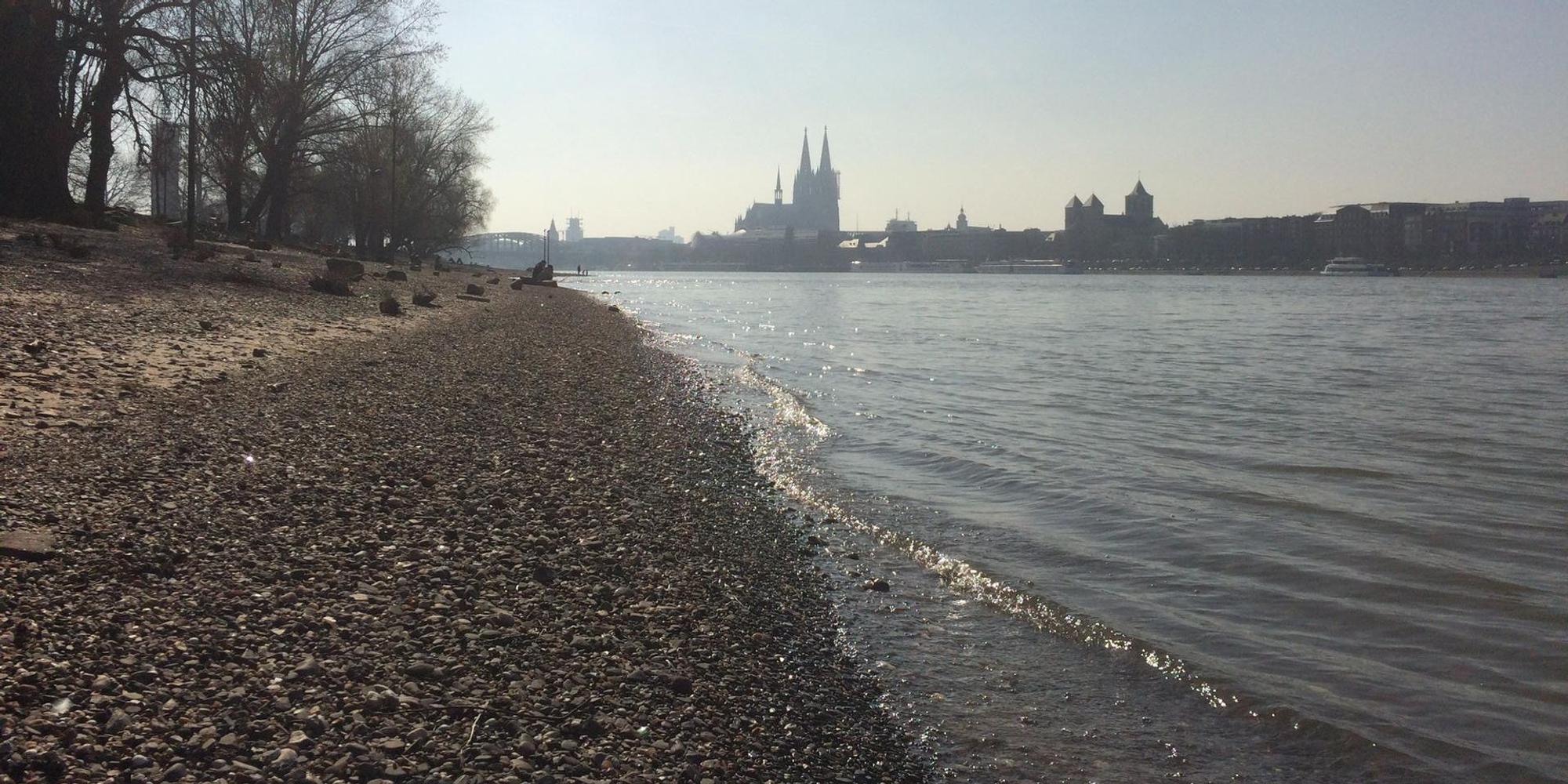 Rhein