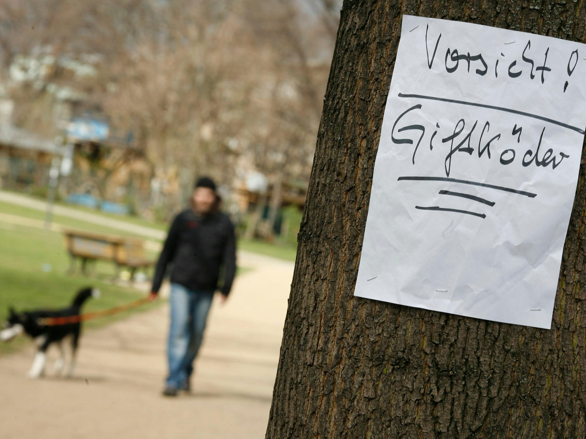 An einem Baumstamm hängt ein Zettel mit der Aufschrift „Vorsicht! Giftköder“. Im Hintergrund geht ein Mann, der einen Hund an der Leine hat.