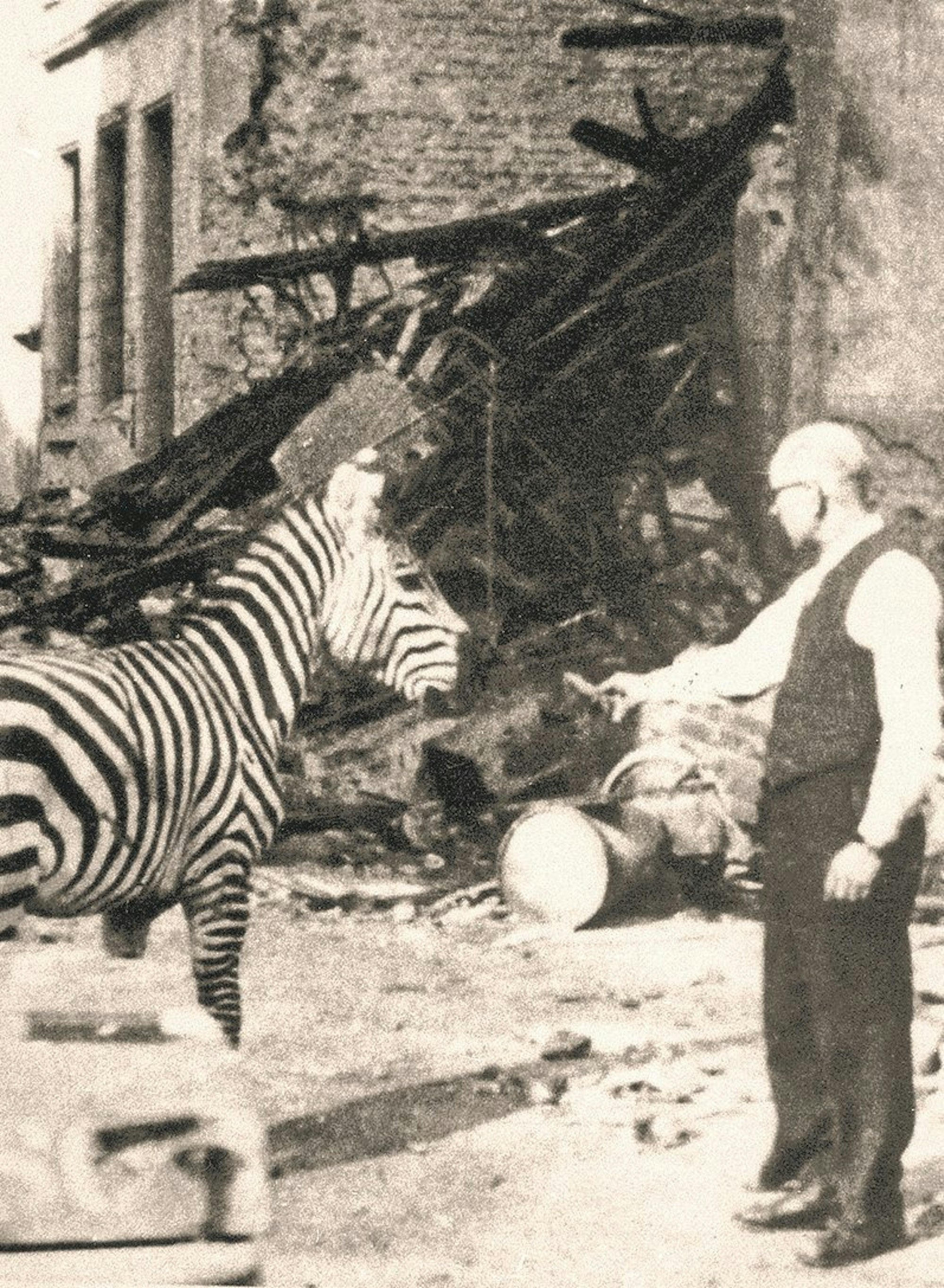 41 Im und nach Zoo (2)