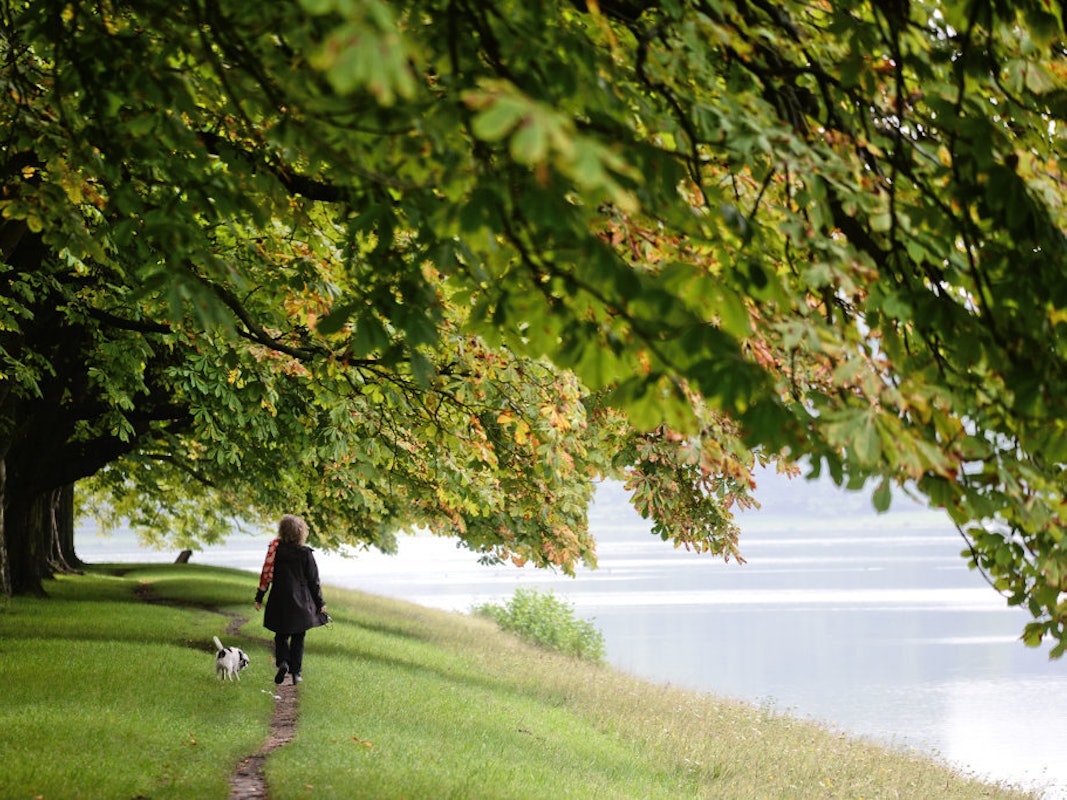 Frau mit Hund am Decksteiner Weiher in Köln.