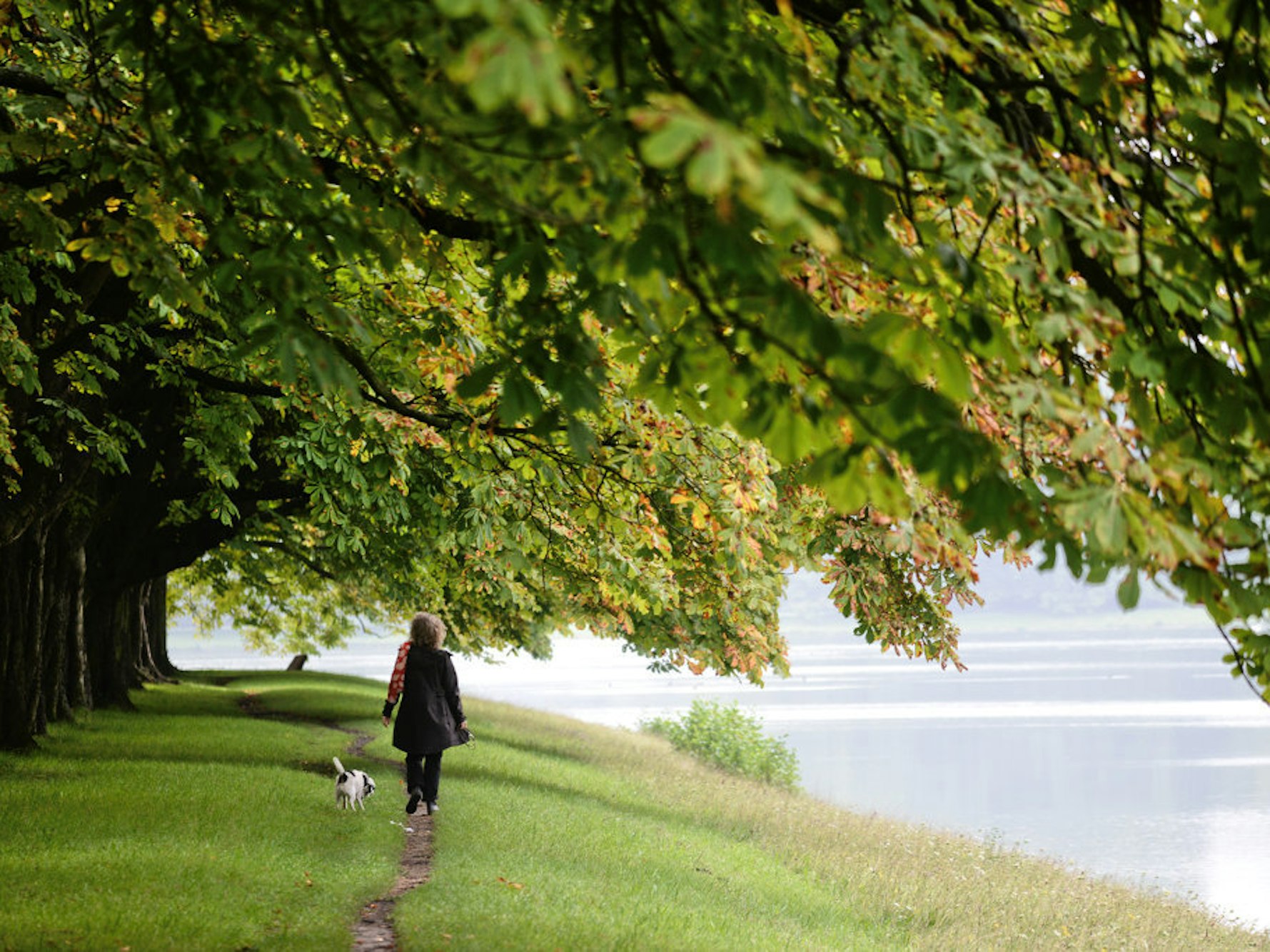 Frau mit Hund am Decksteiner Weiher in Köln.