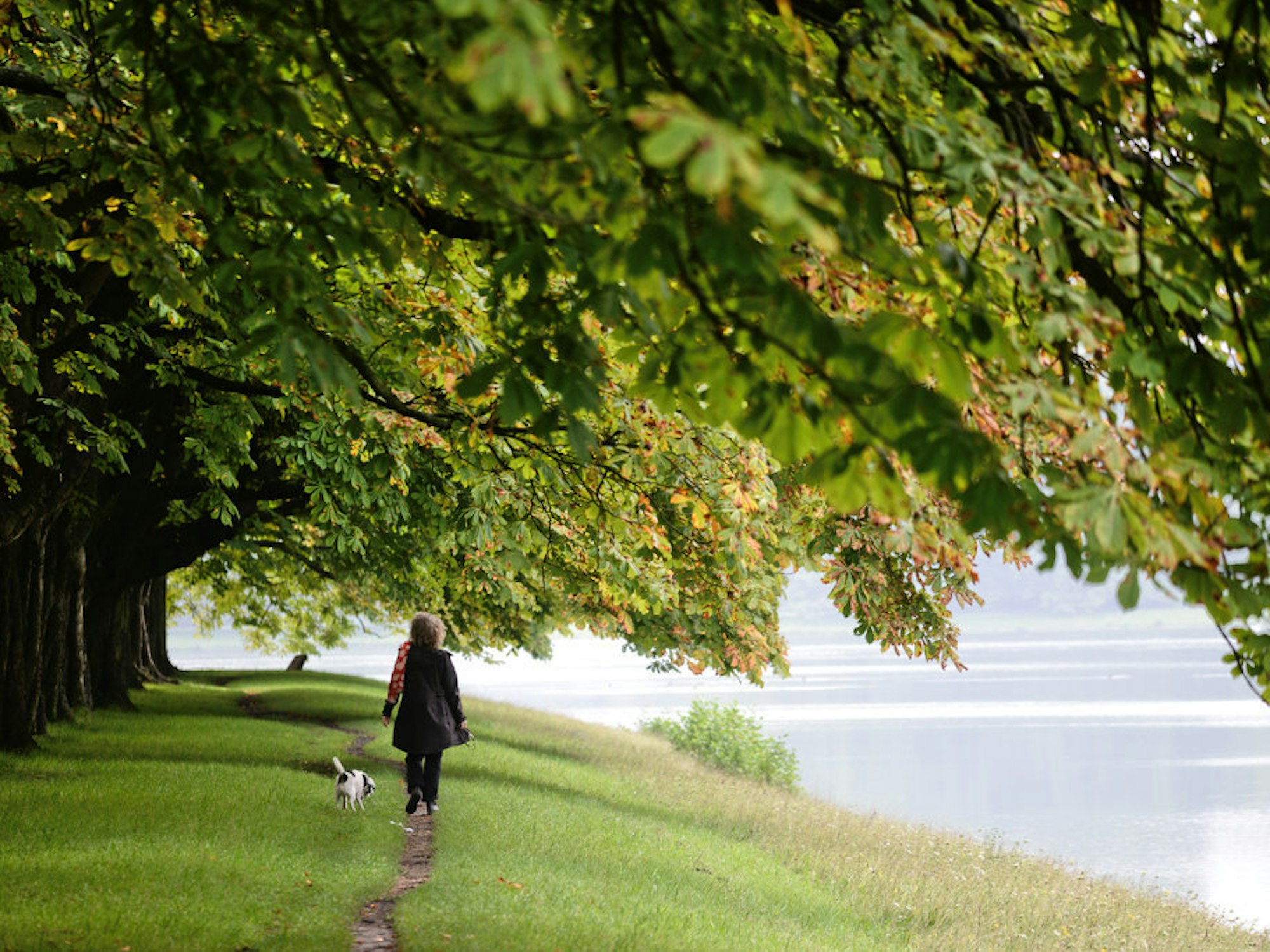 Frau mit Hund am Decksteiner Weiher in Köln.