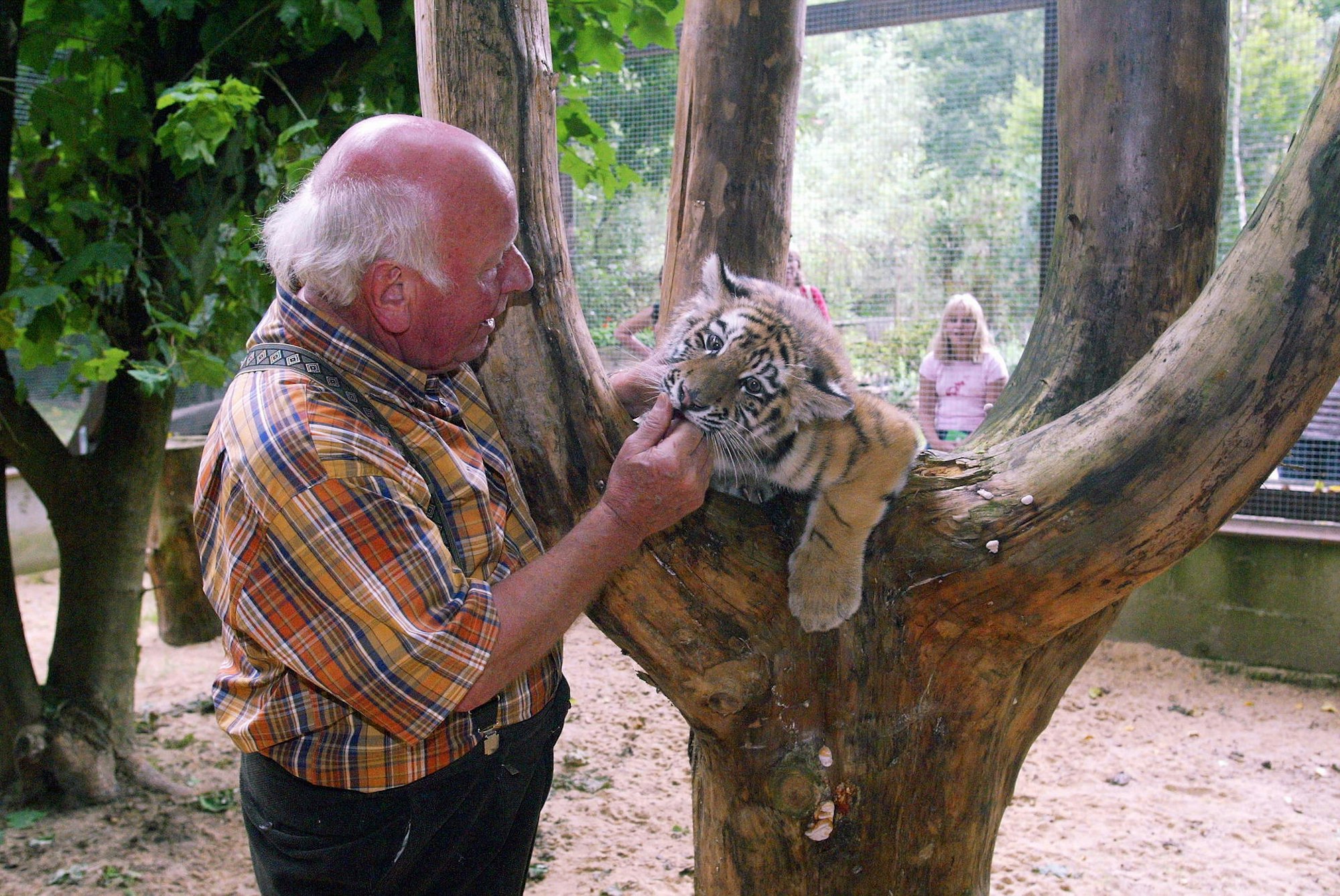 Hans_Wallpott_Tigerbaby_030519