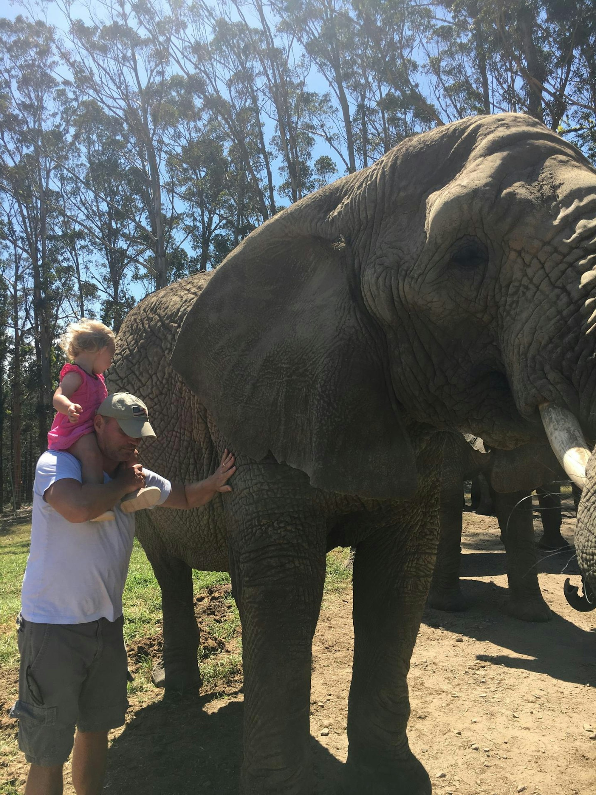 Familie_Bismarck_060919