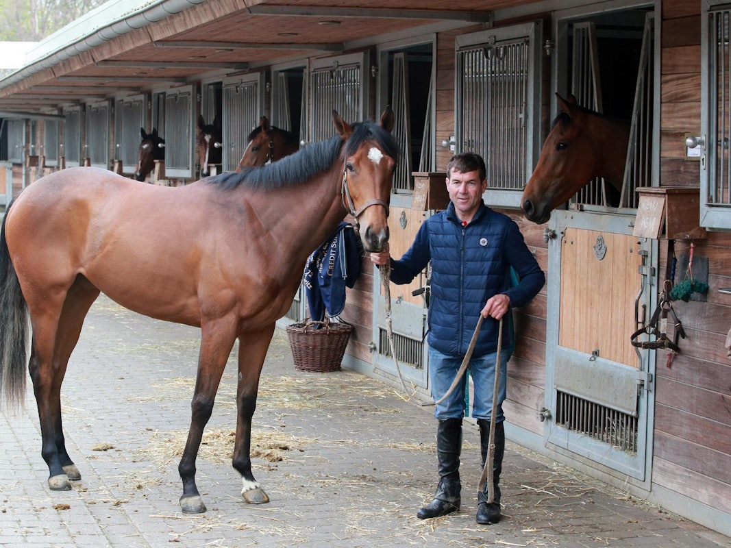 Schiergen mit Dreaming Eyes