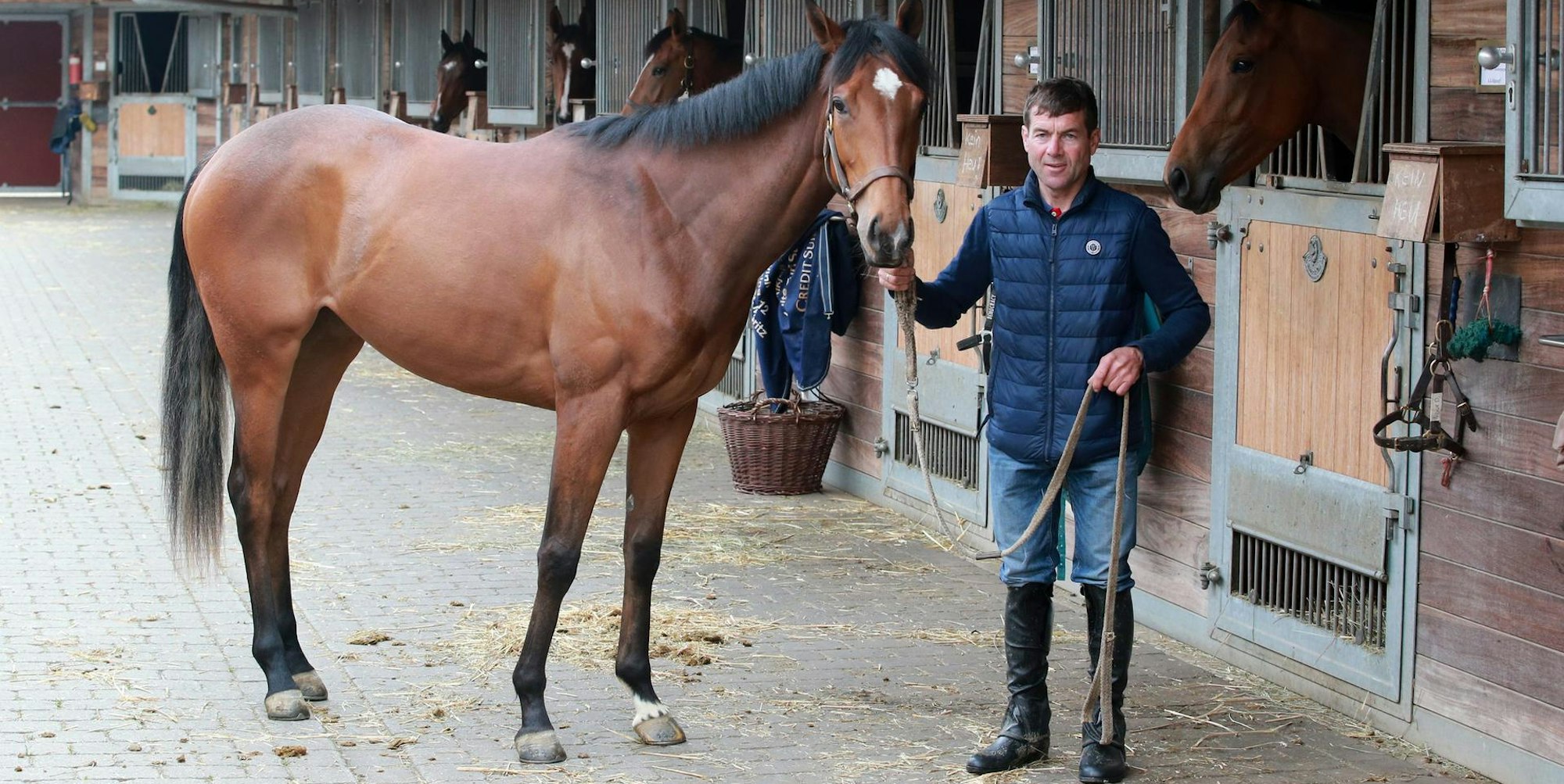 Schiergen mit Dreaming Eyes