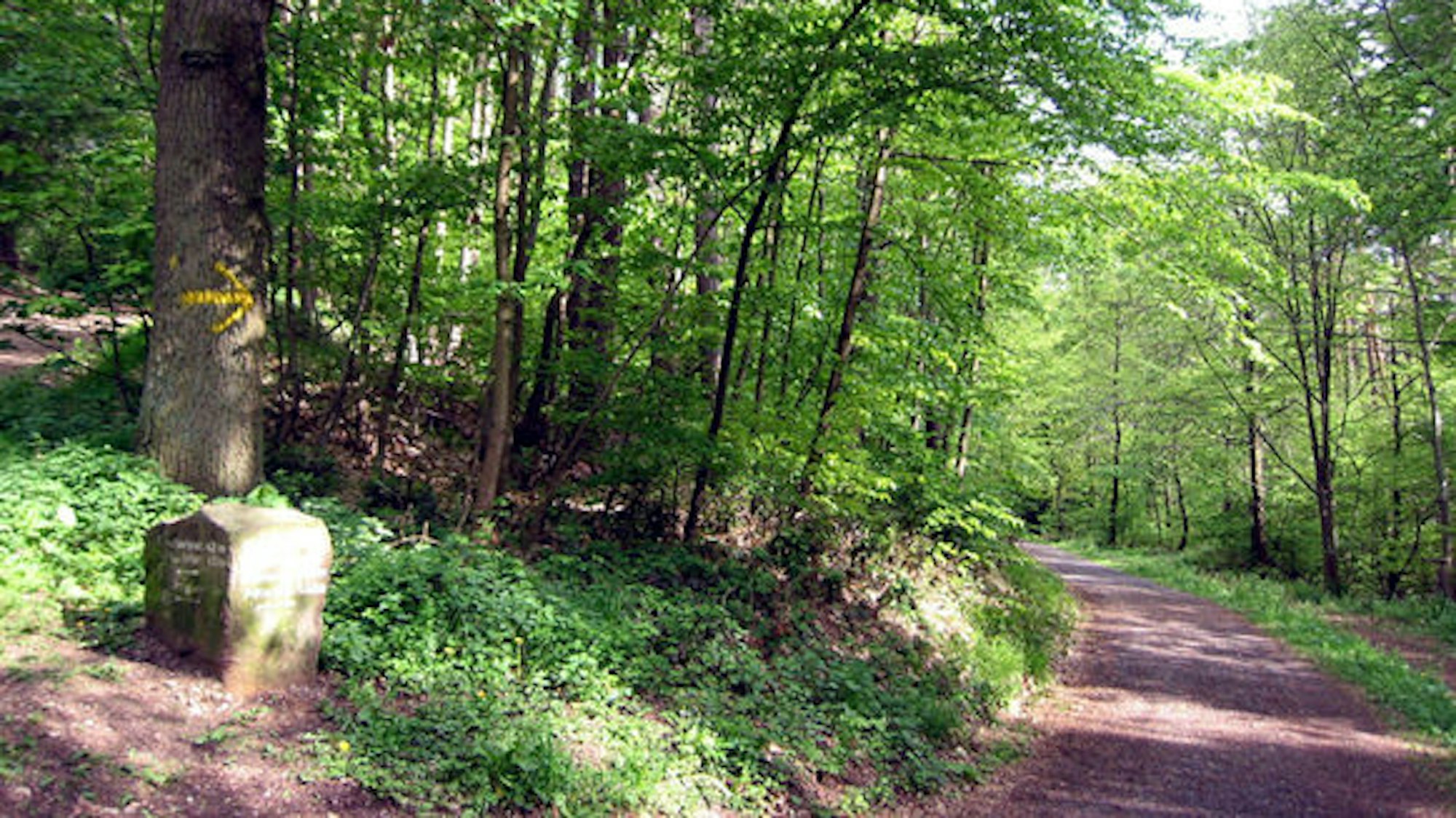 In Emmerich am Rhein haben Kinder eine Entdeckung gemacht. Eine schwere Bronze-Figur wurde einfach so mitten in einem Waldstück abgelegt (Symbolfoto).