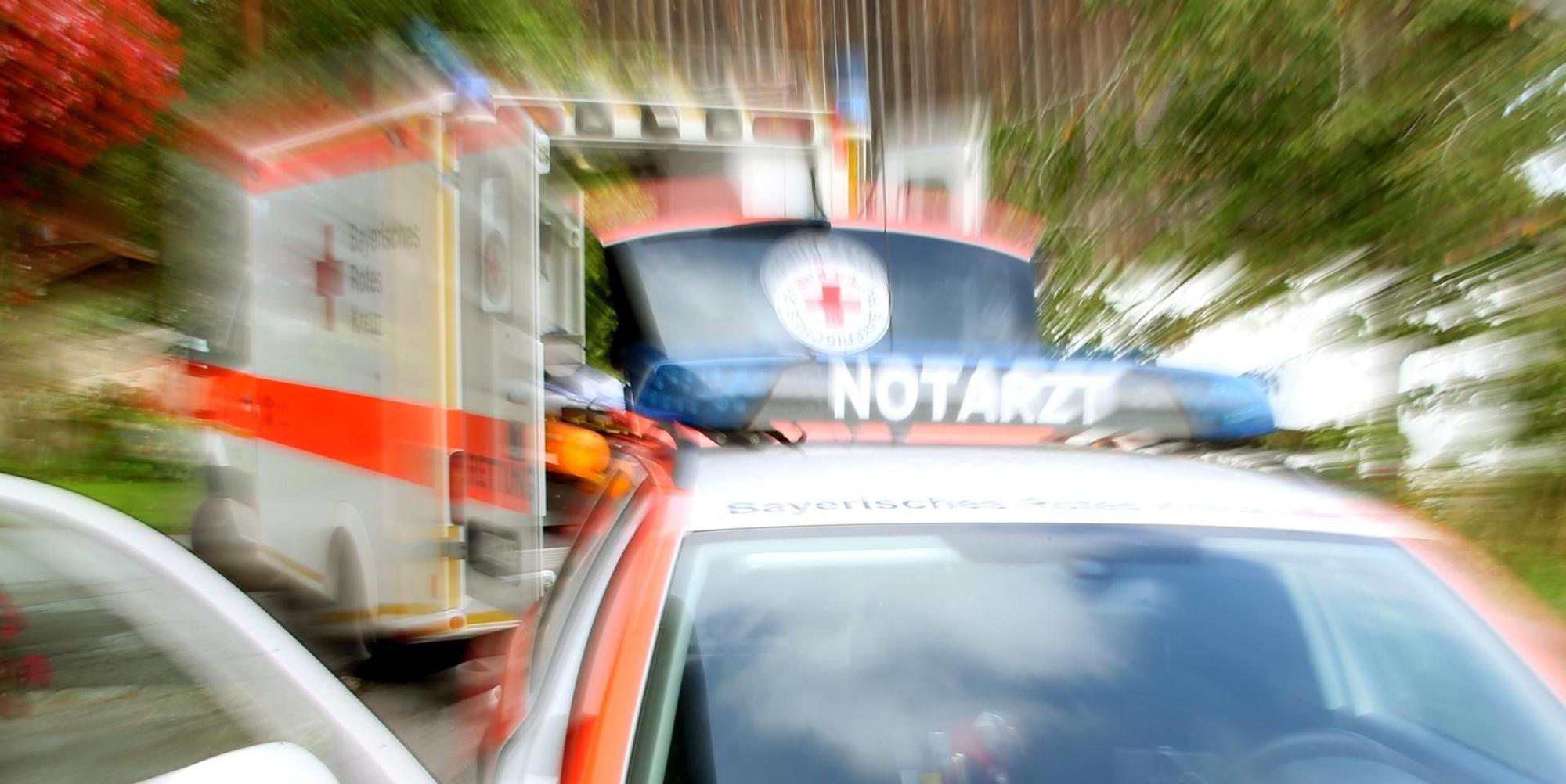 Neuer Inhalt (6)