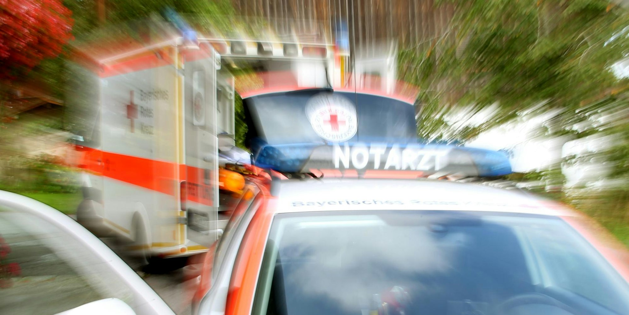 Neuer Inhalt (6)