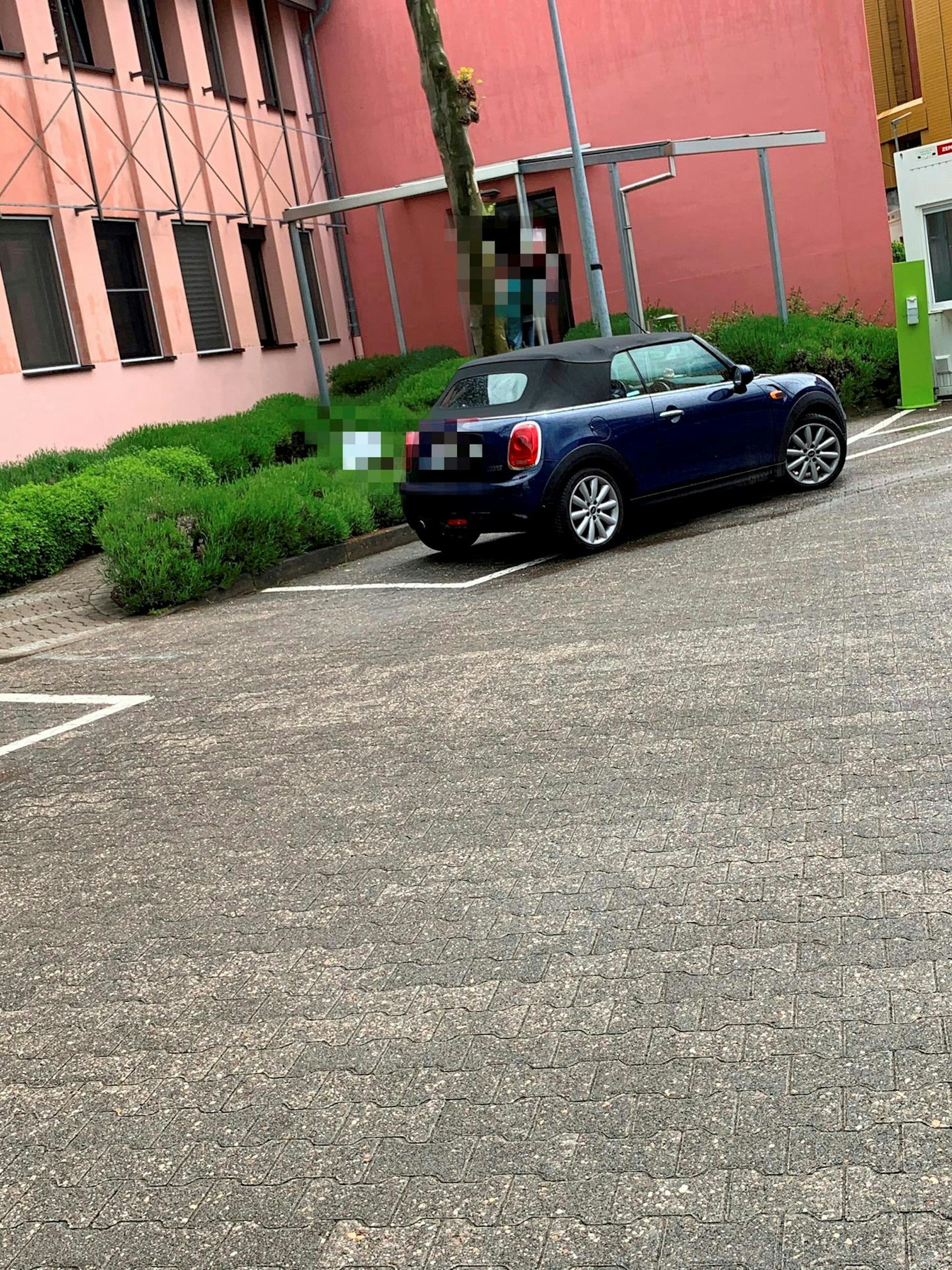 Auto_Kiwi