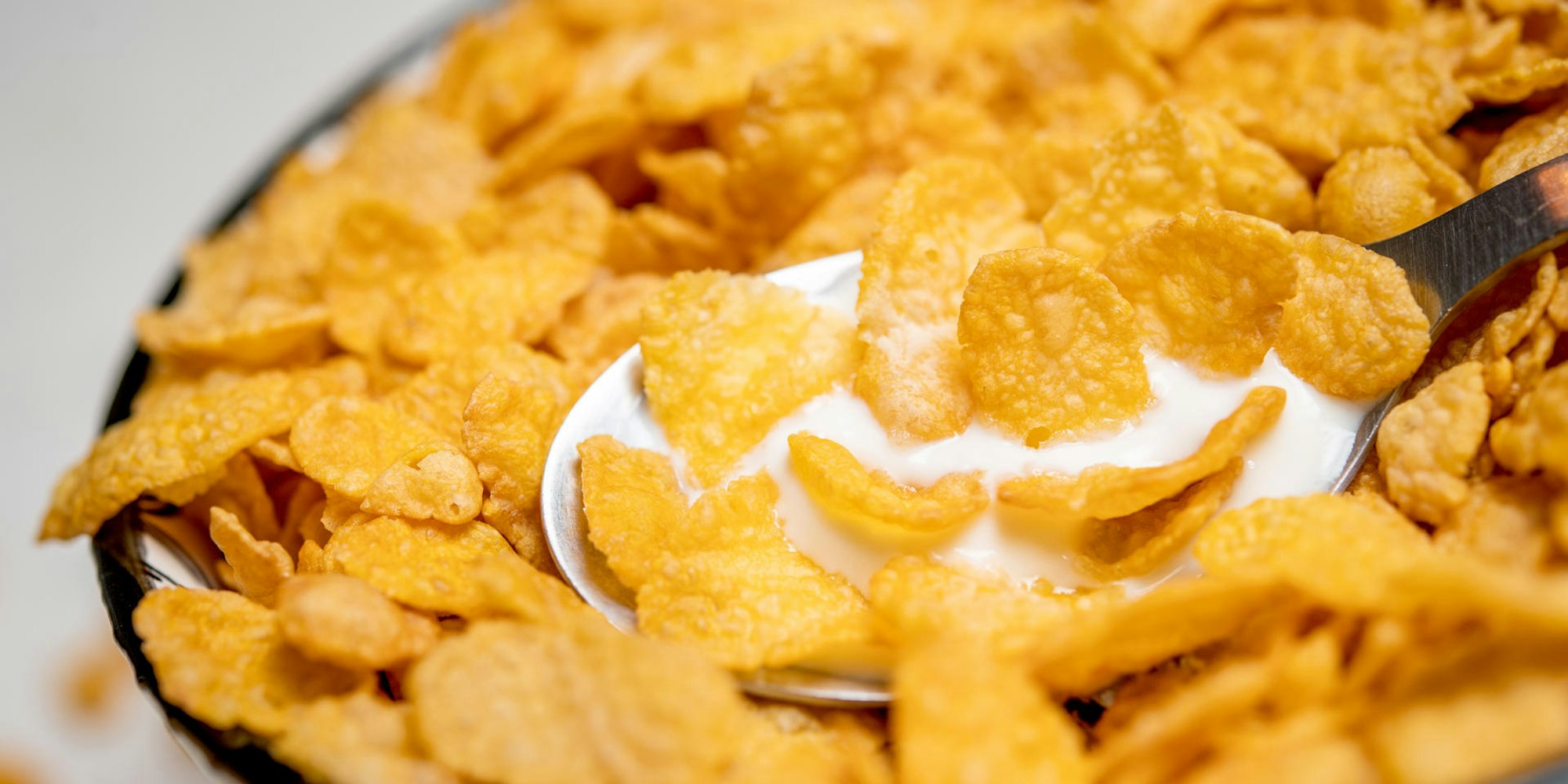 Kellogs_Cornflakes_Logo