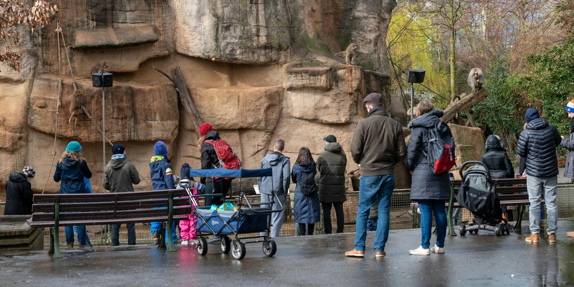 Zoo_Symbol_neuerNachwuchs