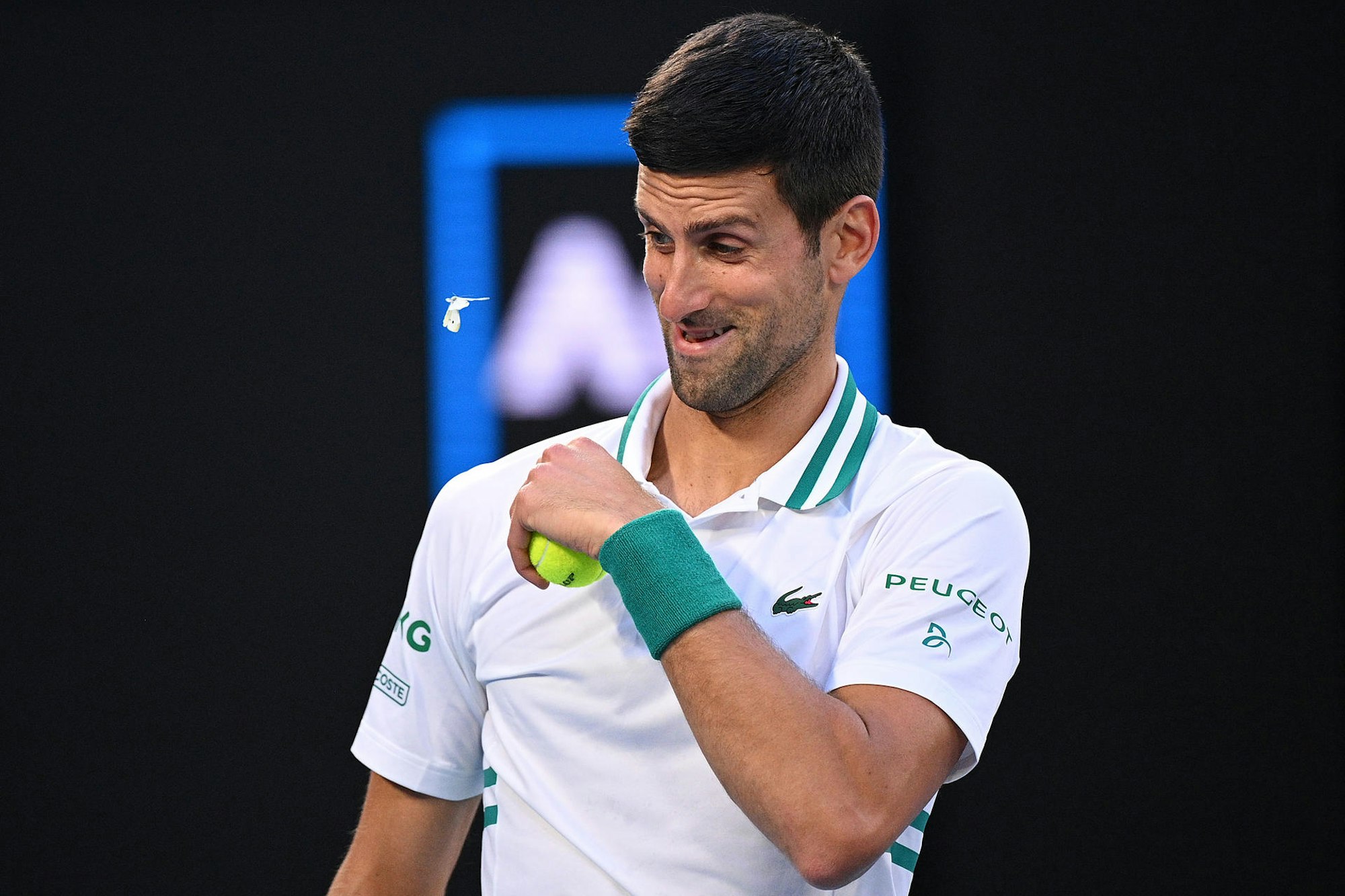 Nowak Djokovic bei den Australian Open