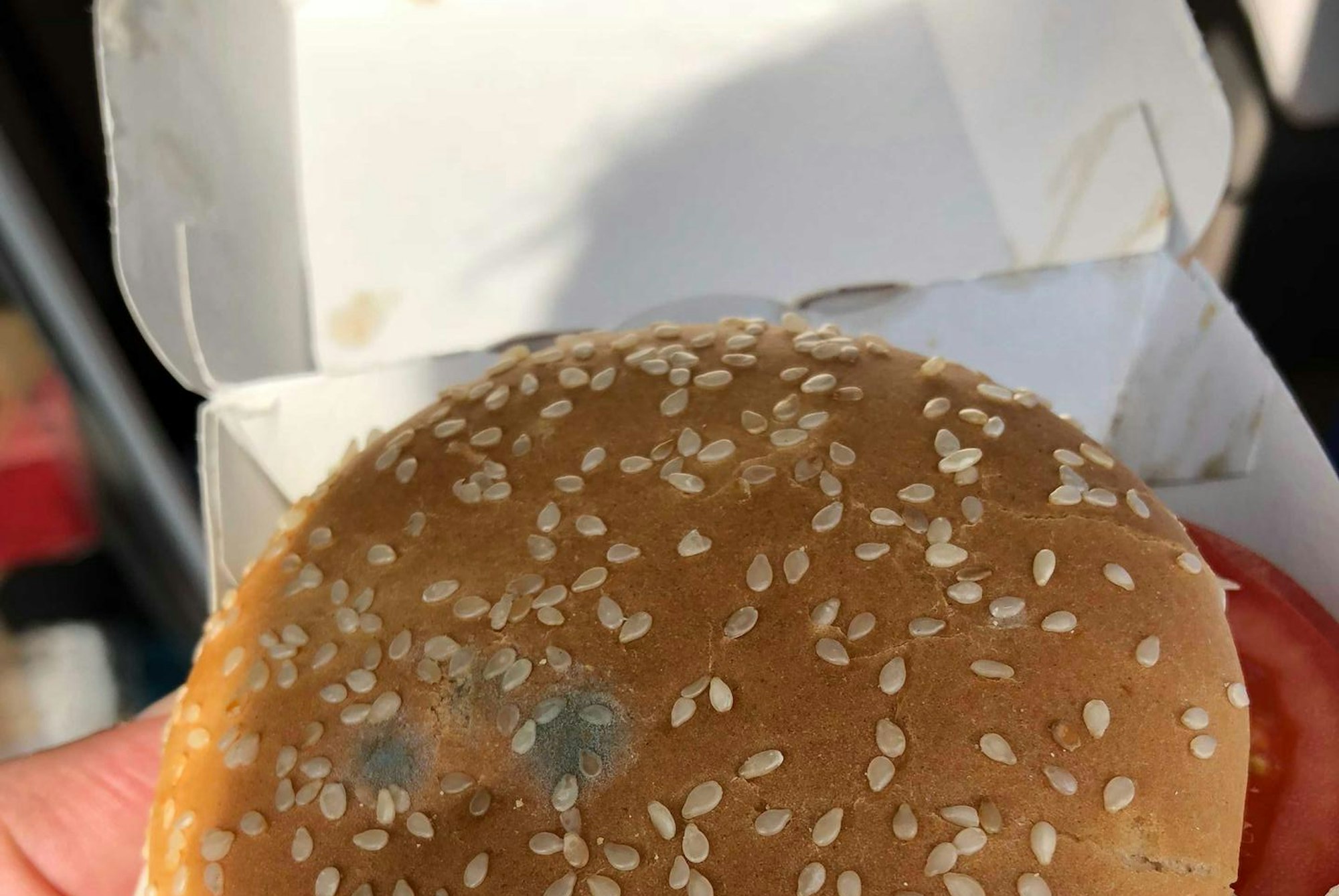 18-05-02 SchimmelBurger