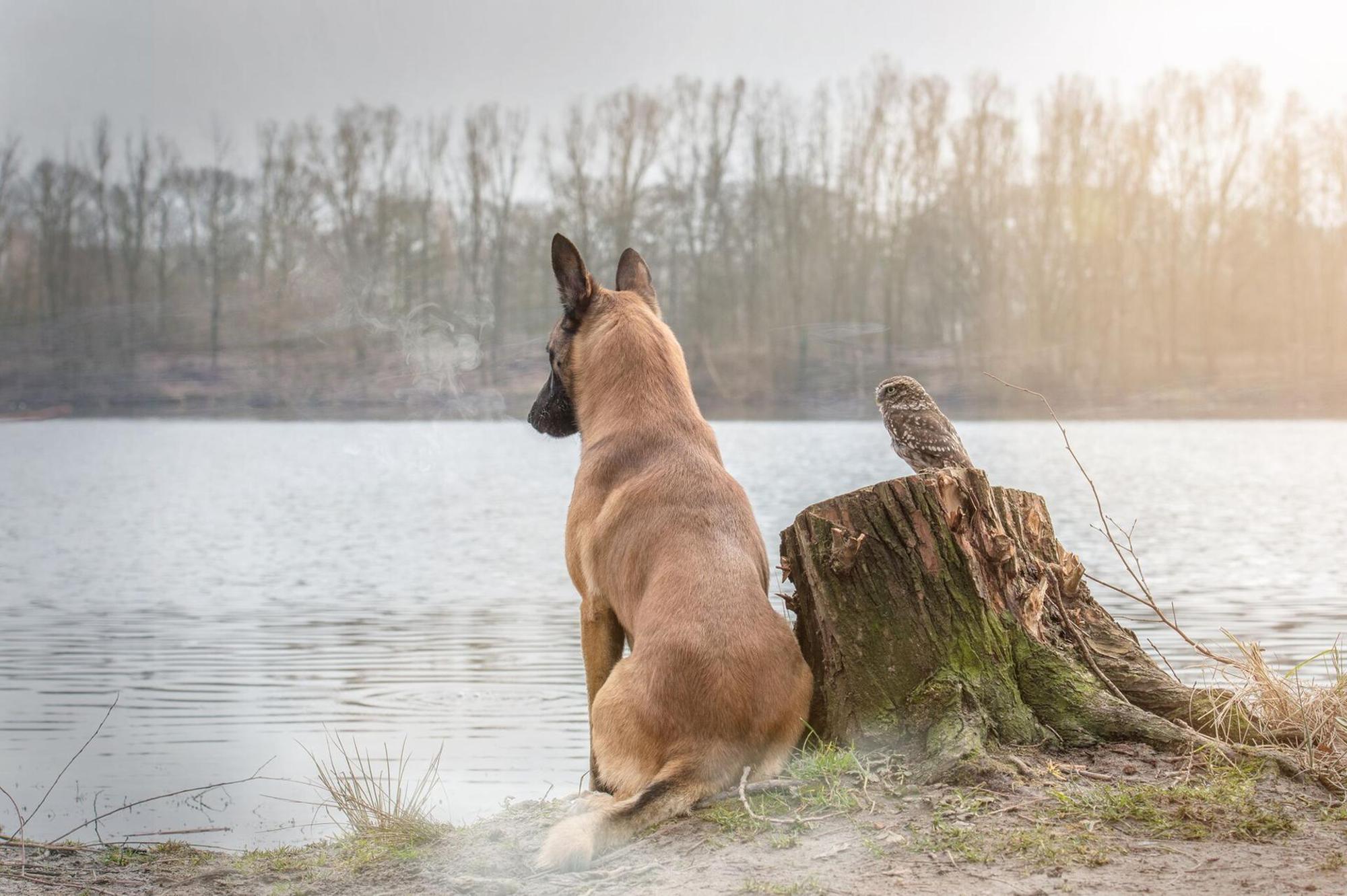 letztes ingo poldi am wasser