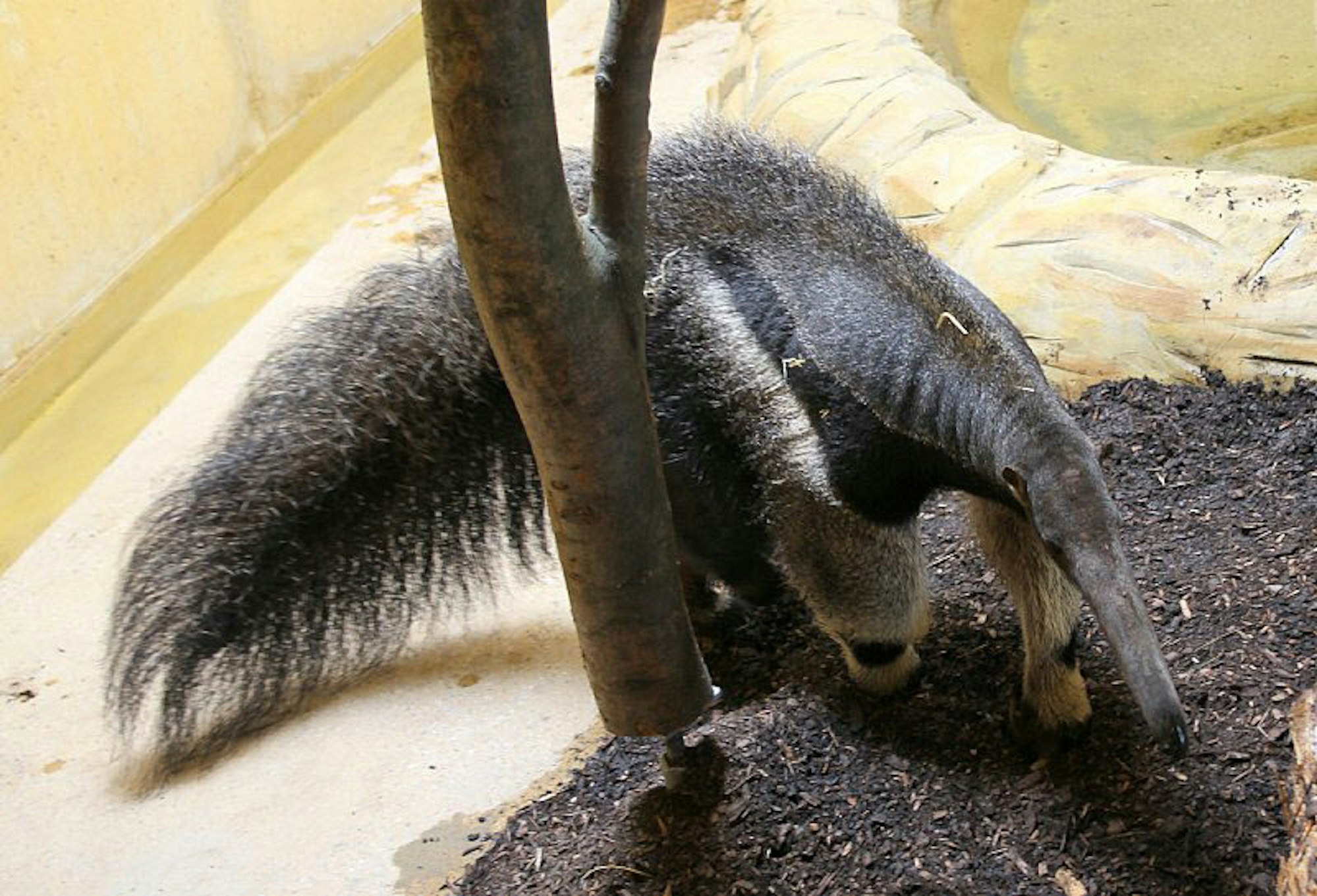 01K___32_71-109531356_ori