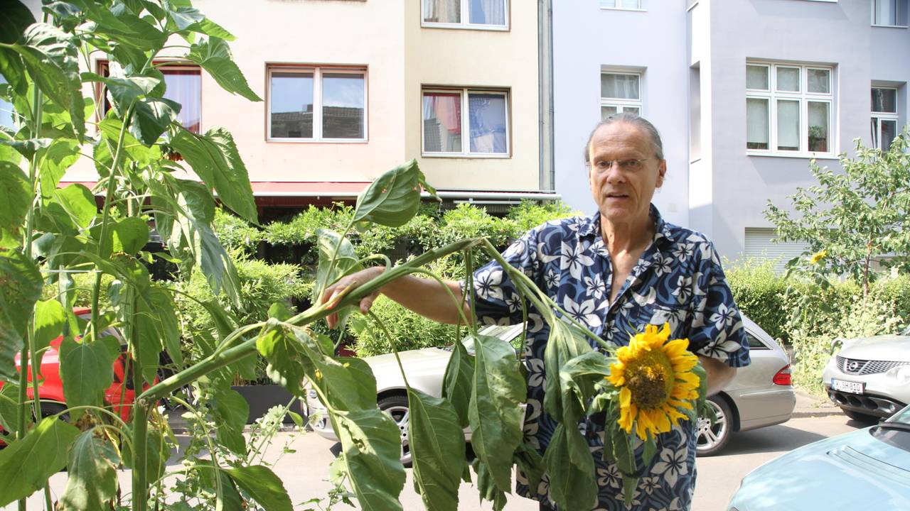 Ein Mann steht neben einer Sonnenblume.