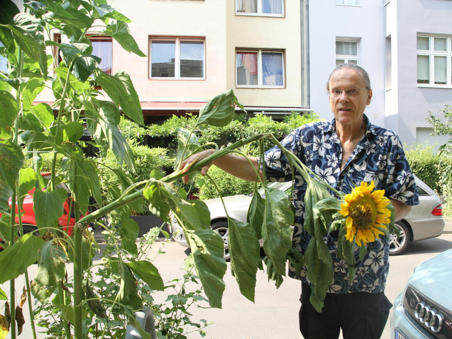 Ein Mann steht neben einer Sonnenblume.