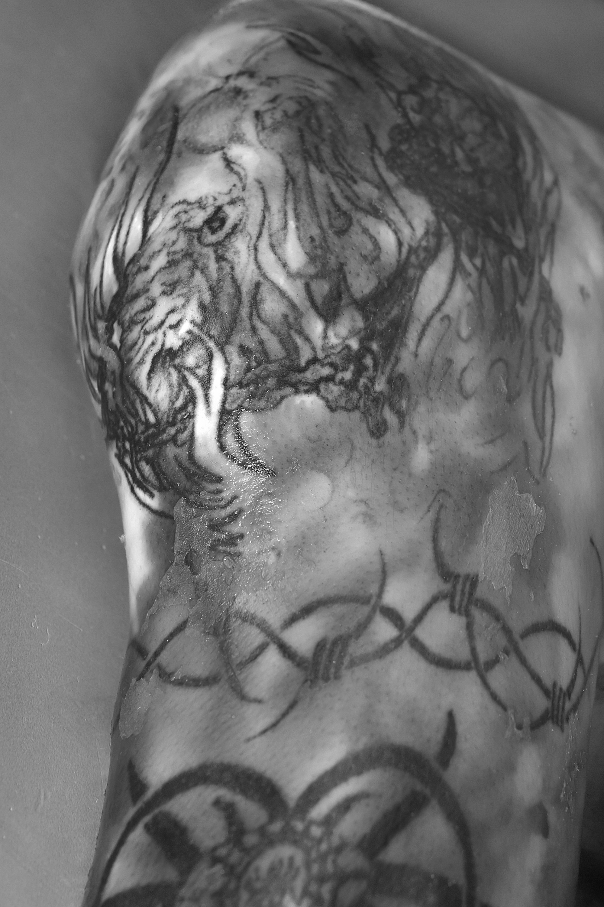 Tattoo-Mann Oberarm Schulter links Fabelwesen 170612