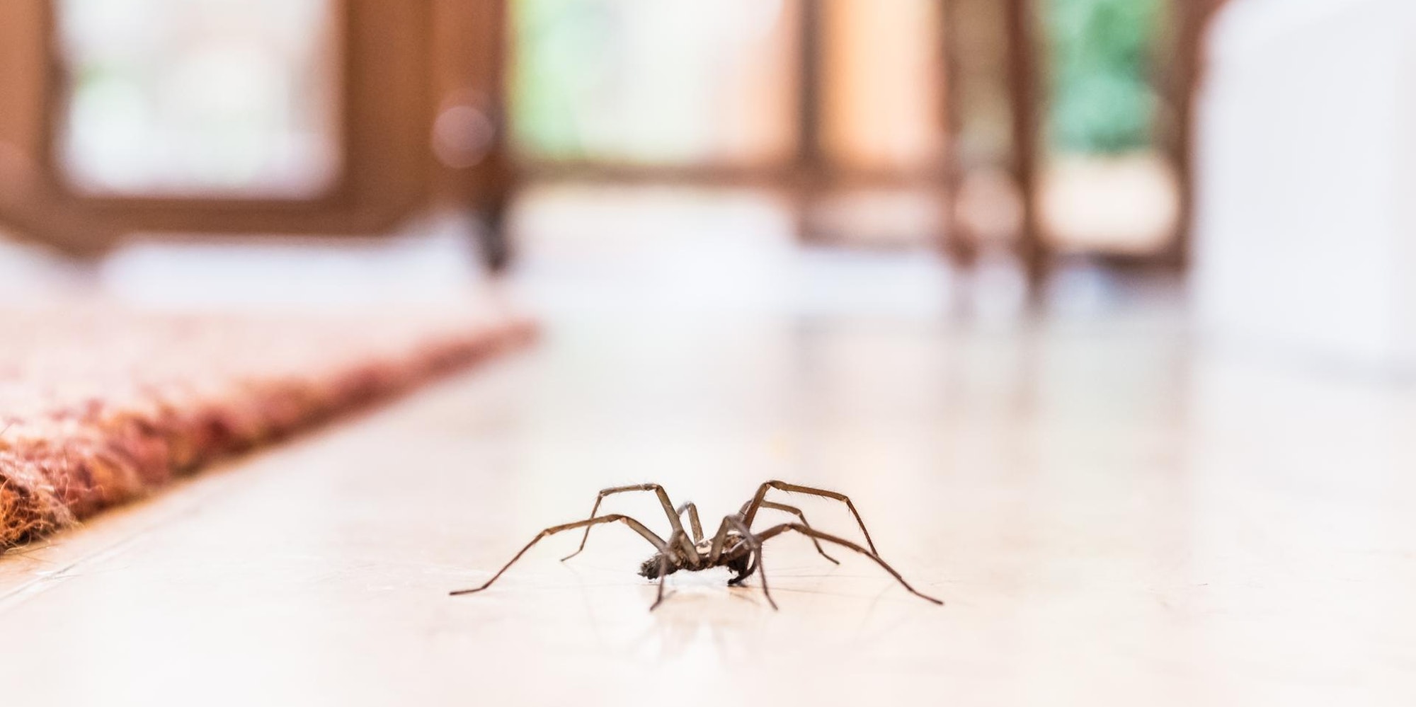 GettyImages-860254376