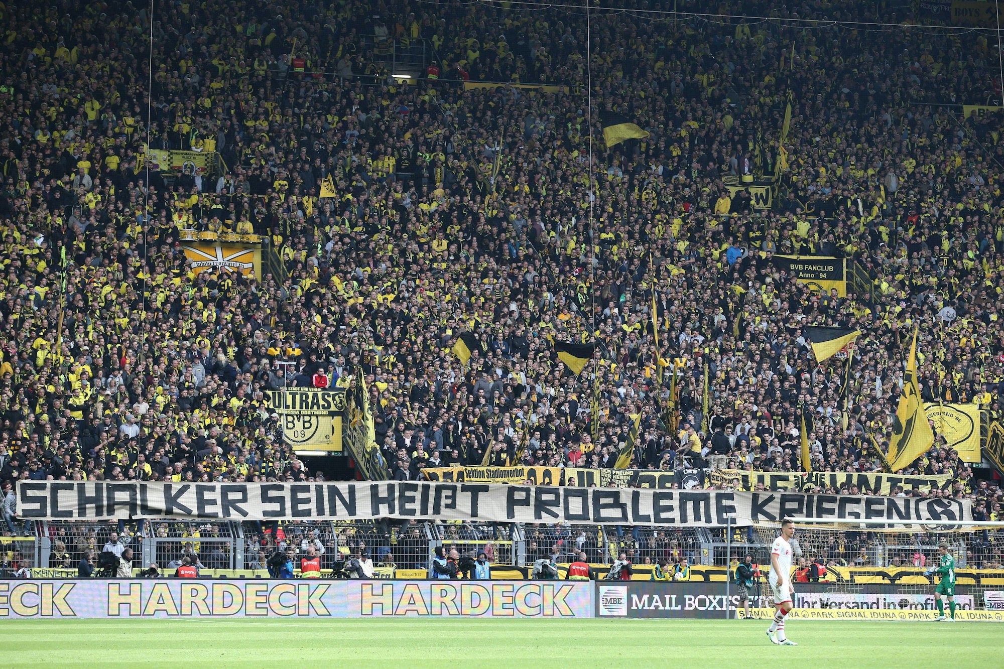 Neuer Inhalt (562)