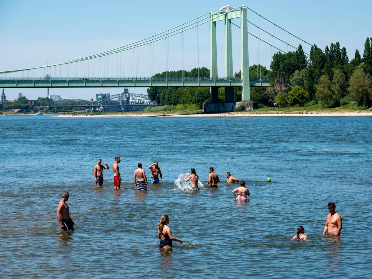 Leute schwimmen im Rhein bei Köln