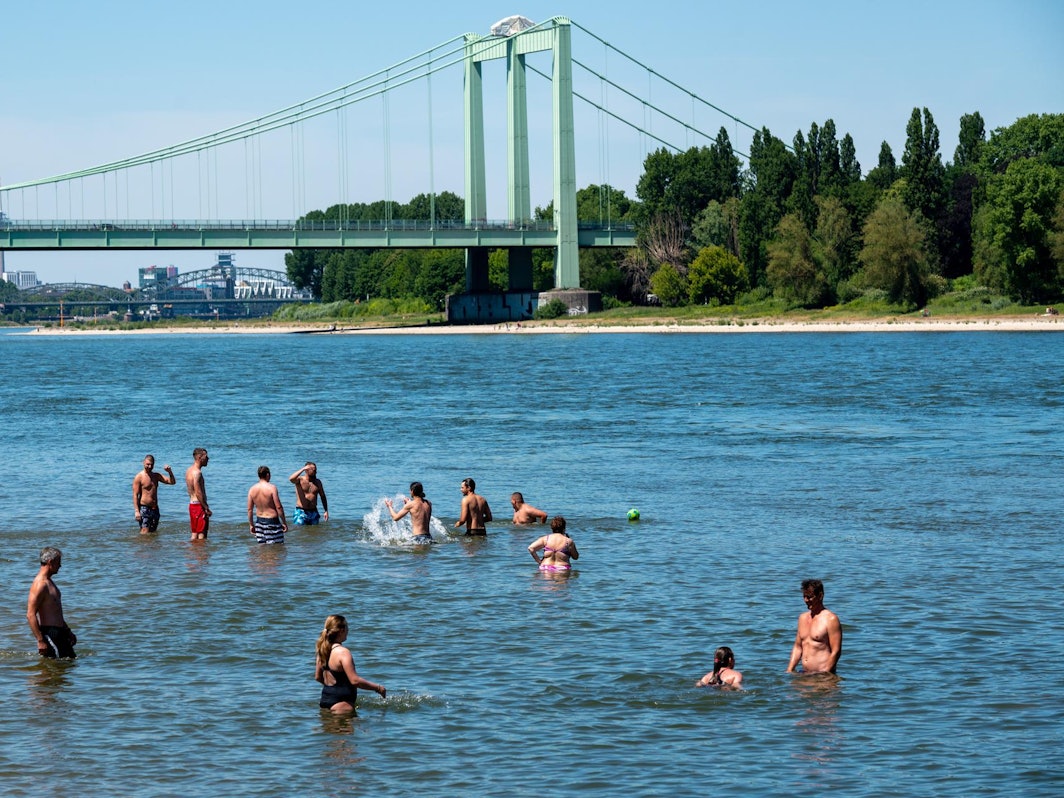 Leute schwimmen im Rhein bei Köln