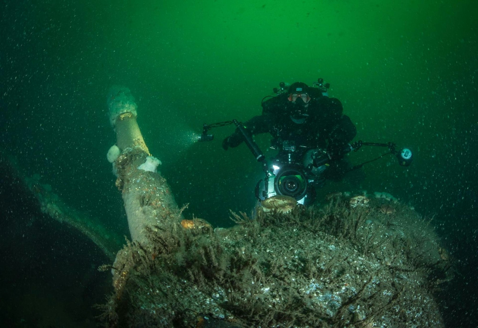 Ein Geschütz des Kreuzers „Cöln"