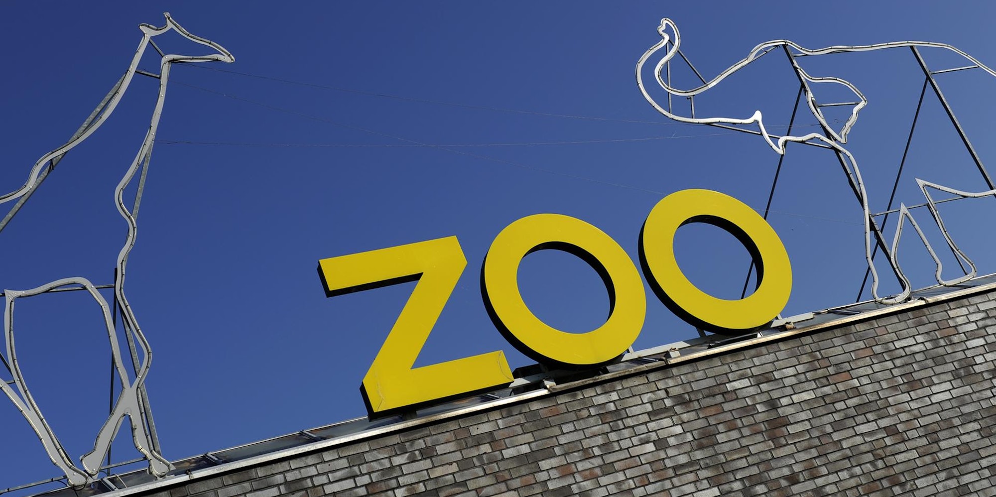 digas-170737634_MDS-EXP-2020-05-04-71-160815456