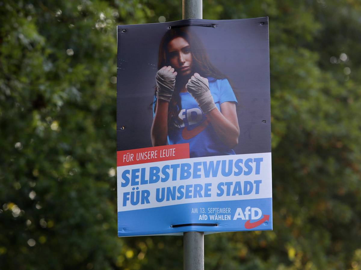 Ein AfD-Wahlplakat in Freudenberg