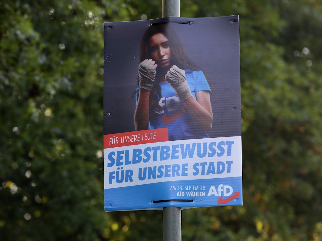 Ein AfD-Wahlplakat in Freudenberg