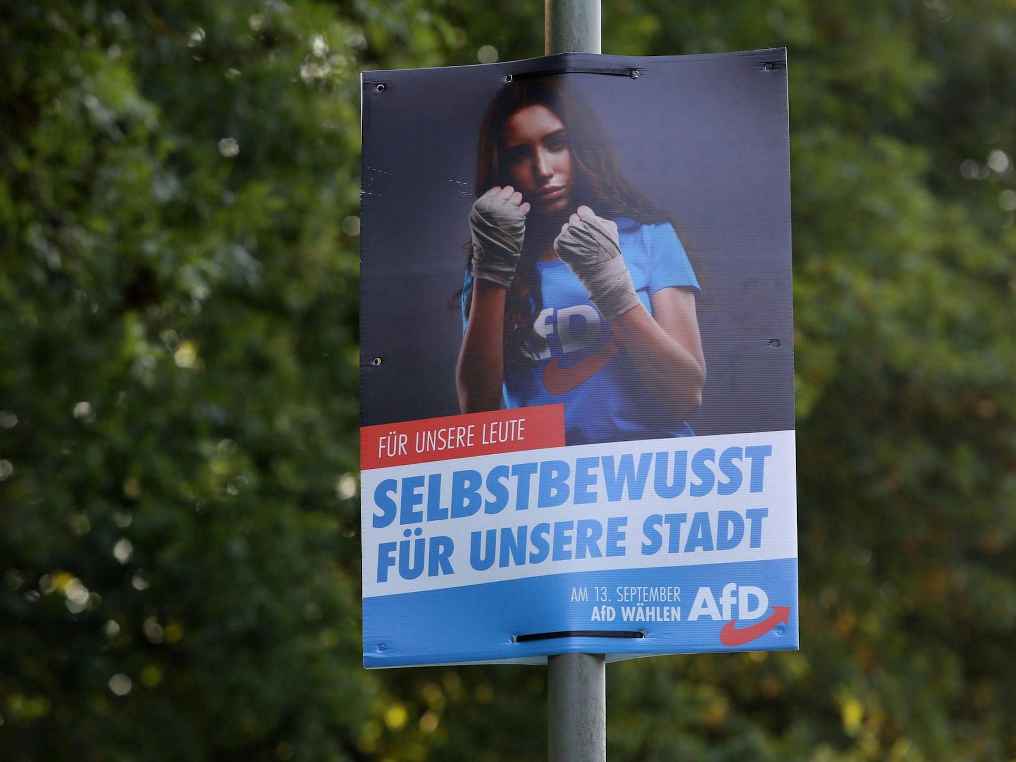 Ein AfD-Wahlplakat in Freudenberg