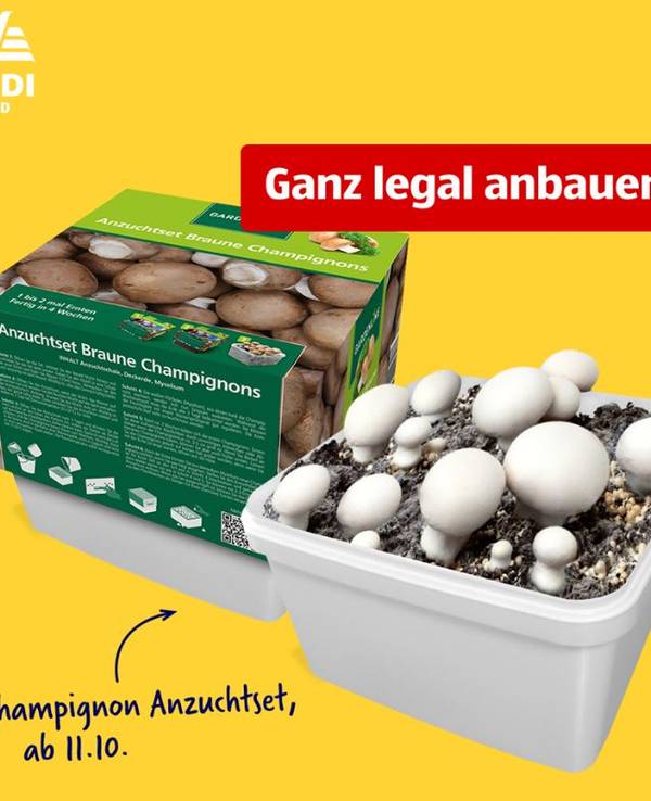 aldi_pilze