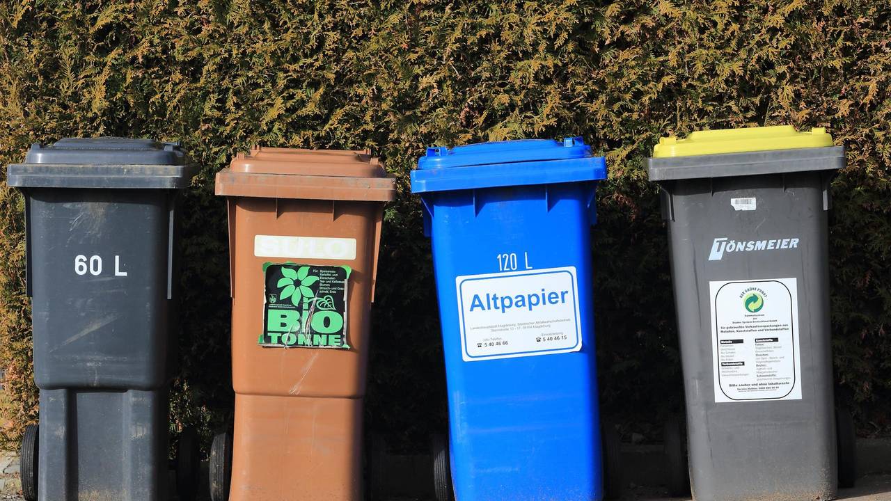 Verschiedene Mülltonnen stehen nebeneinander.