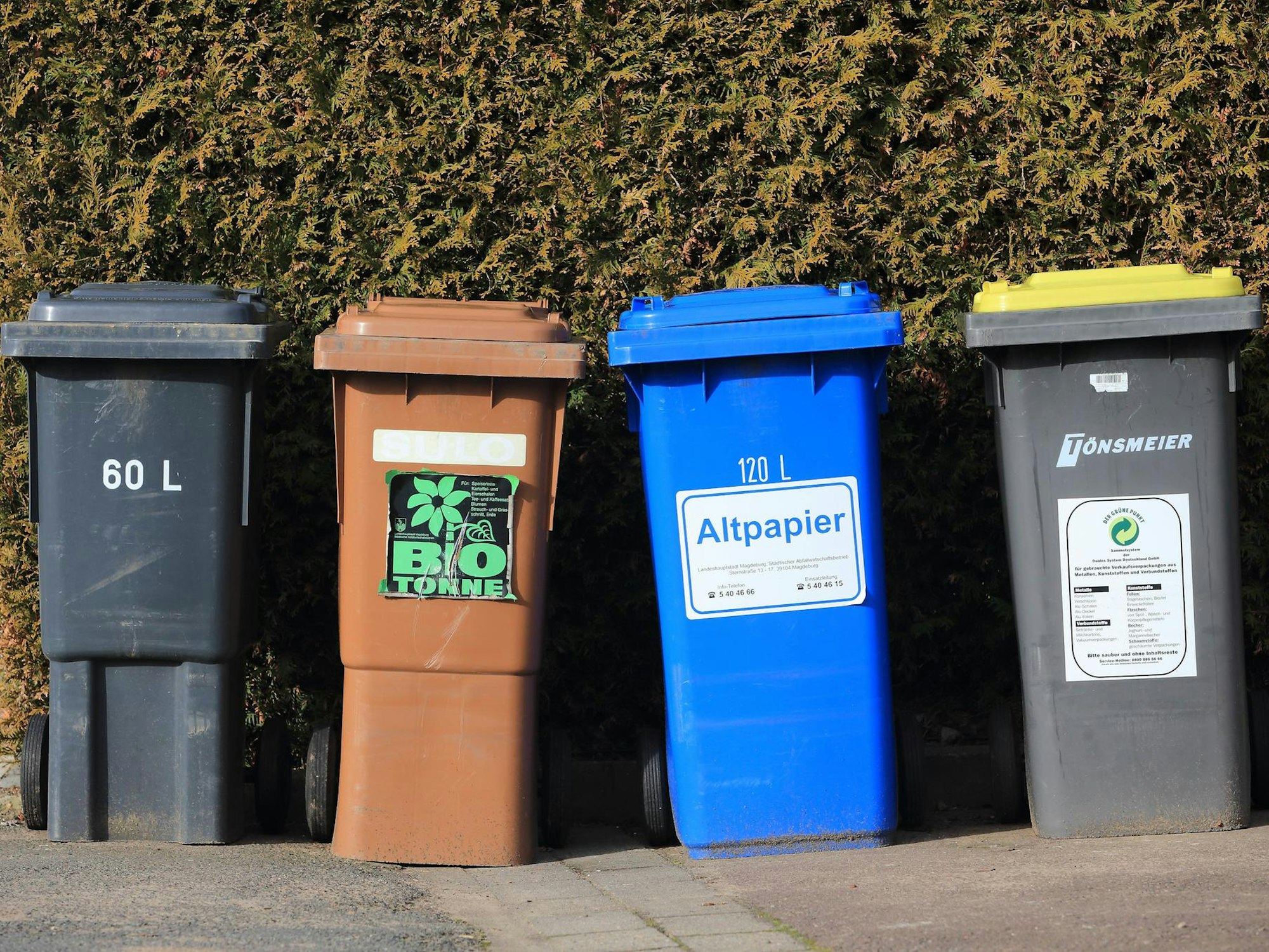 Verschiedene Mülltonnen stehen nebeneinander.