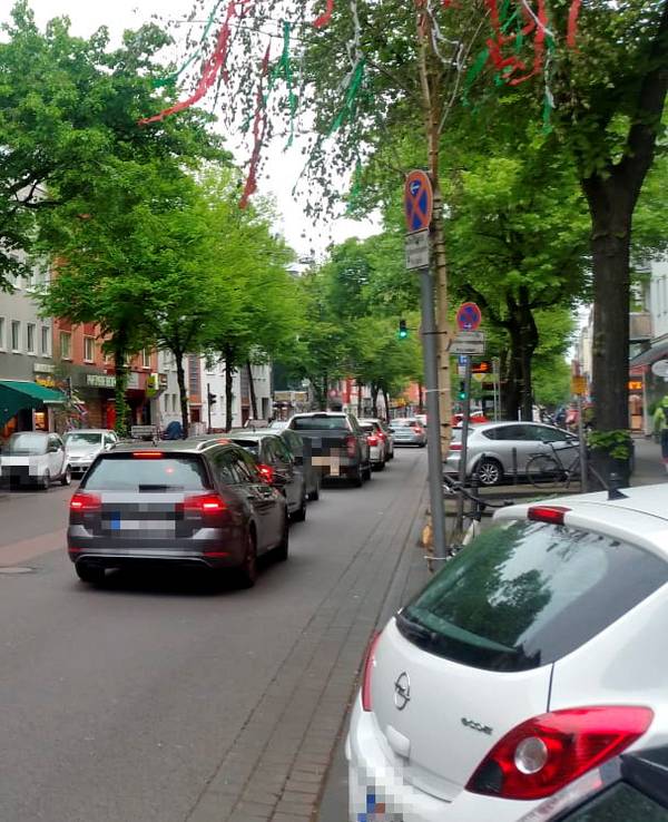 Pascher1