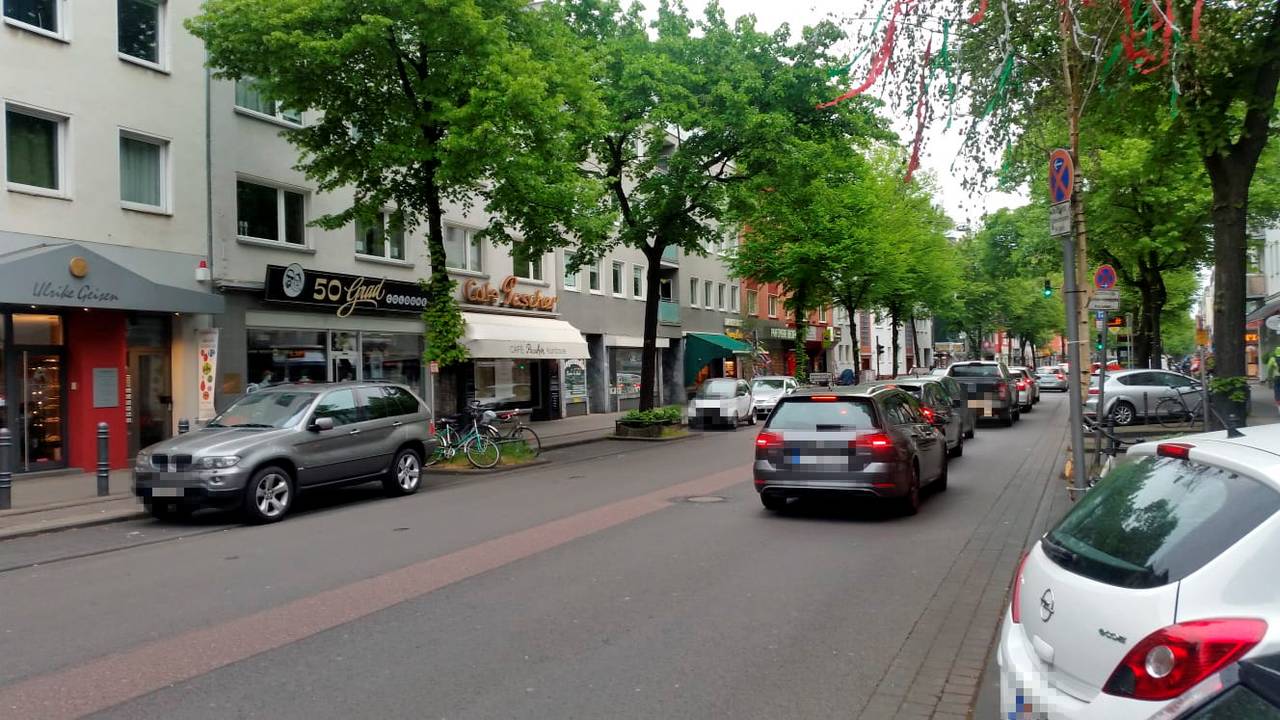 Pascher1
