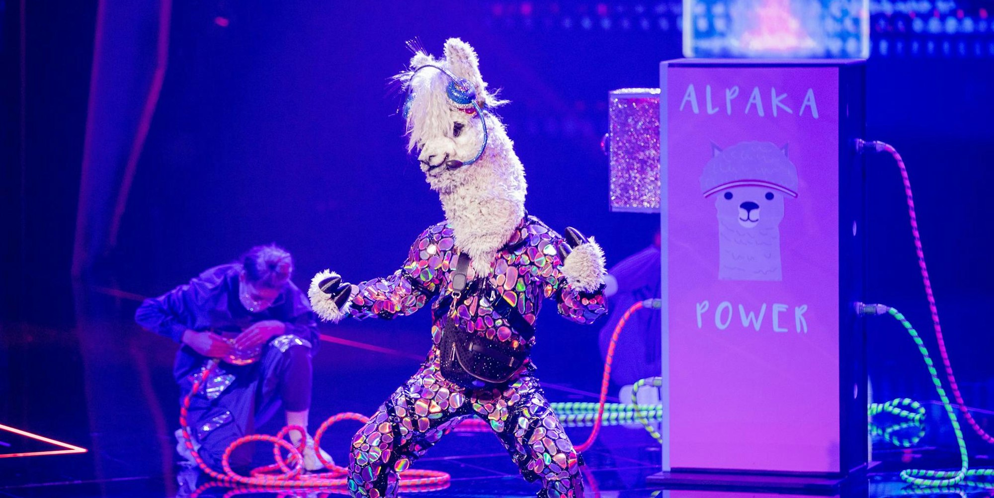 Masked_Singer_Alpaka_30102020