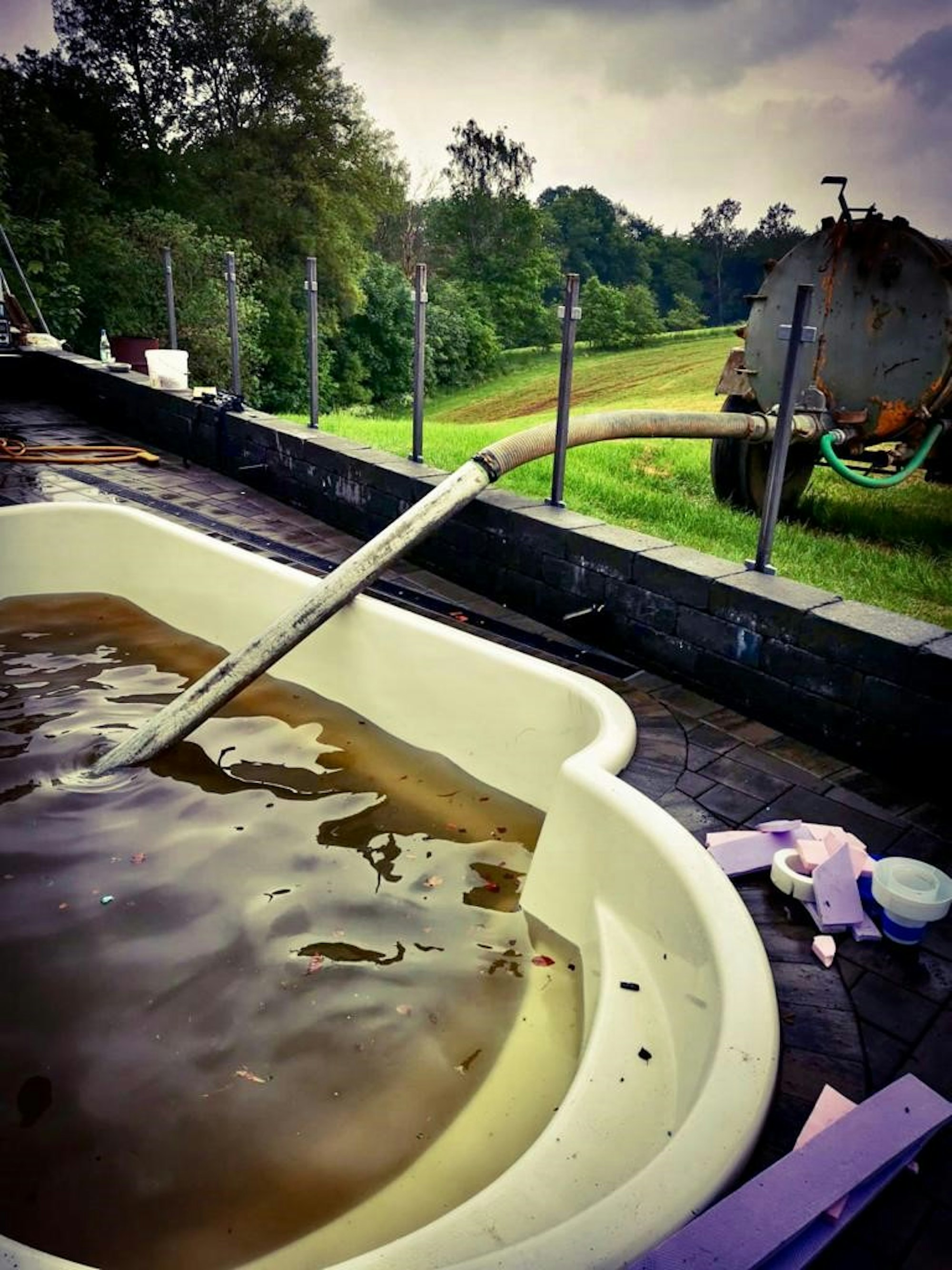 Kuh im Pool absaugen