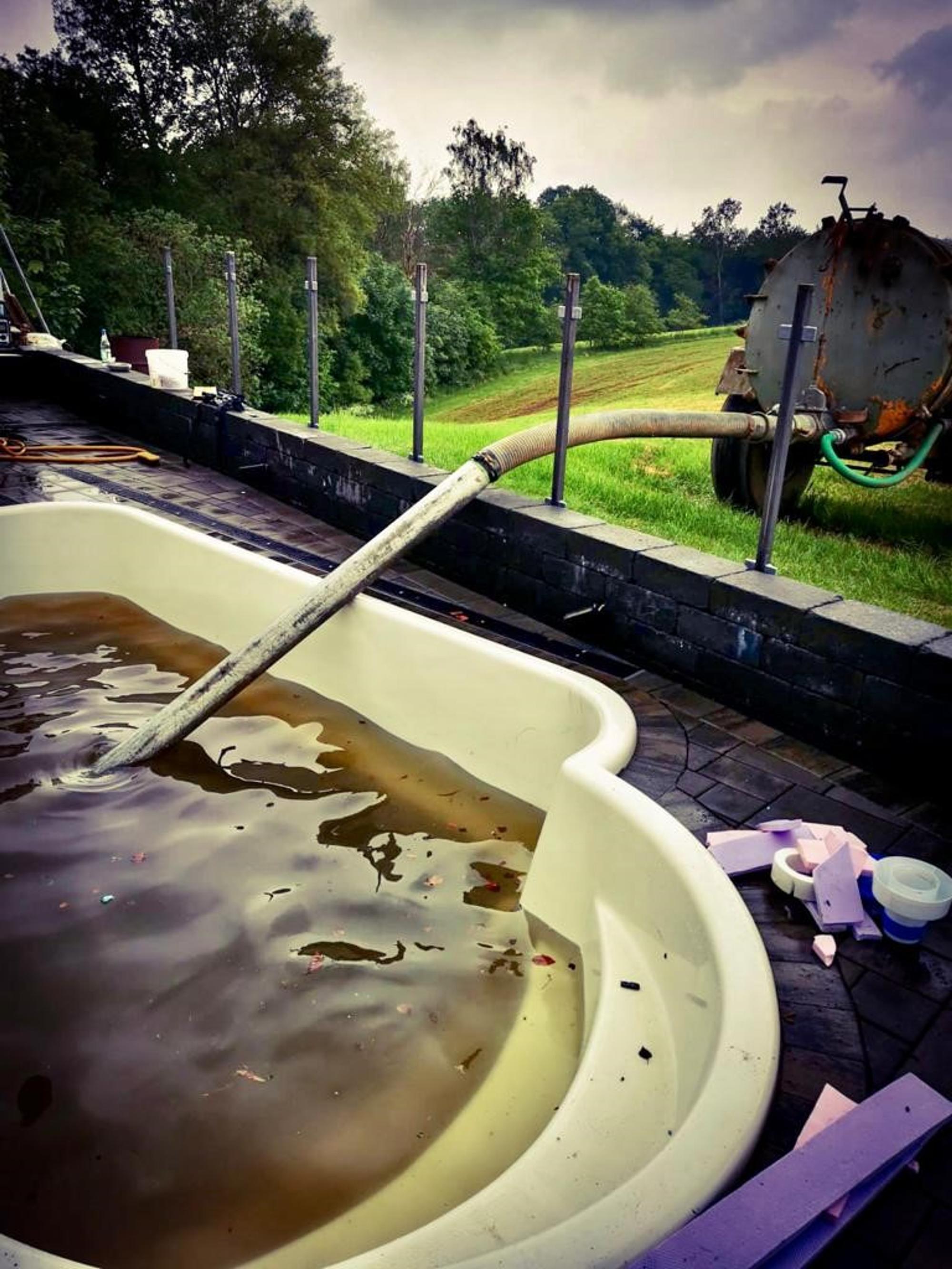 Kuh im Pool absaugen