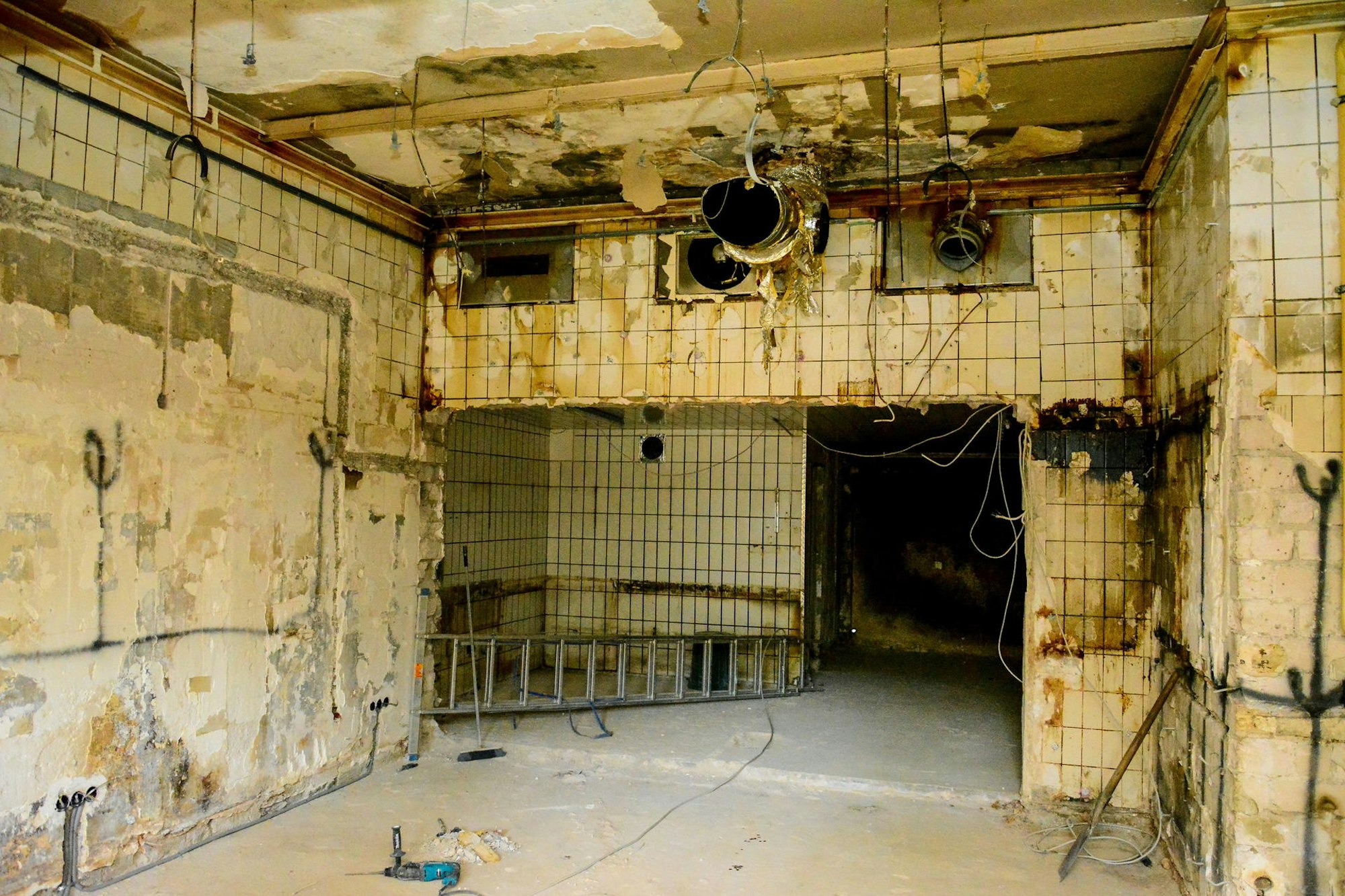 28032017_AR_maca_ronni_009