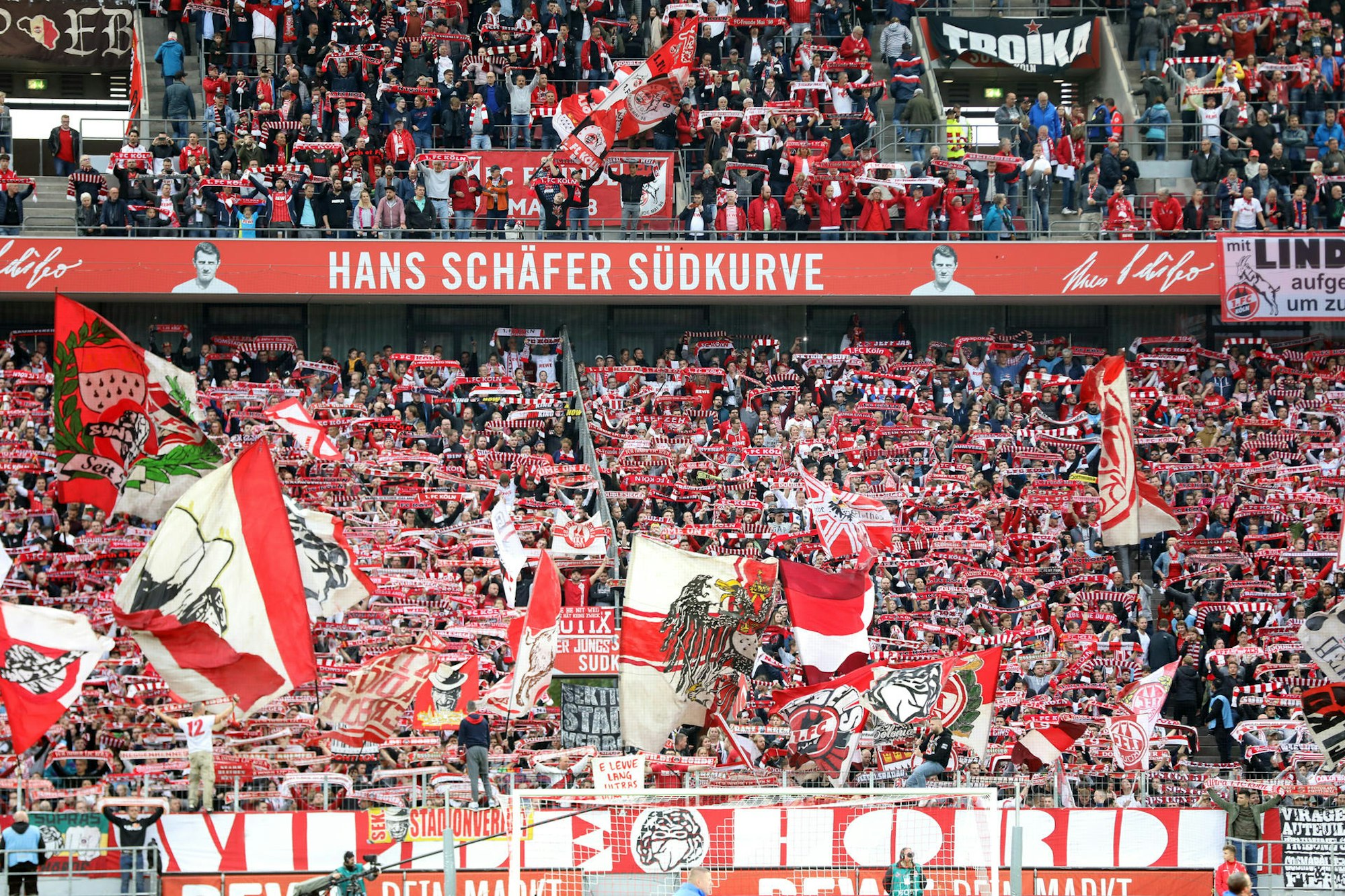 20190929-bopp_19_13481