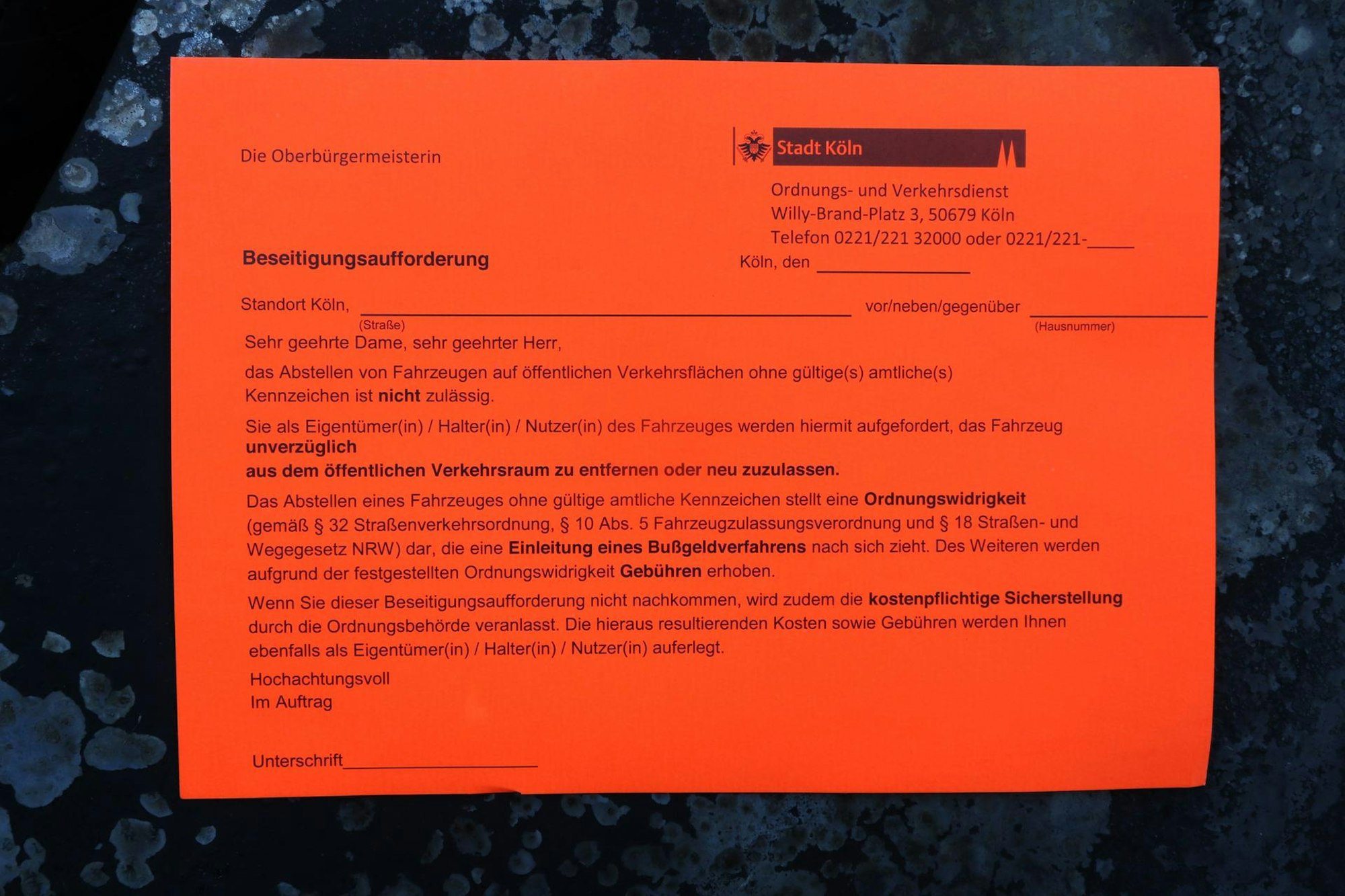 BMW_Weiden_Brand_06_06_2019 (2)