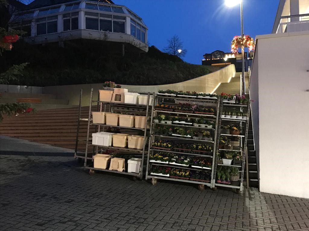 Bensberg_Markt